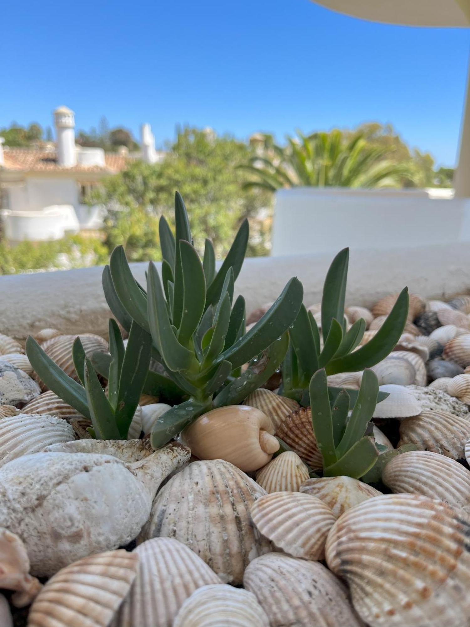 Casadeleon - Costadelsol Vacations & Remote Work Sitio de Calahonda Buitenkant foto