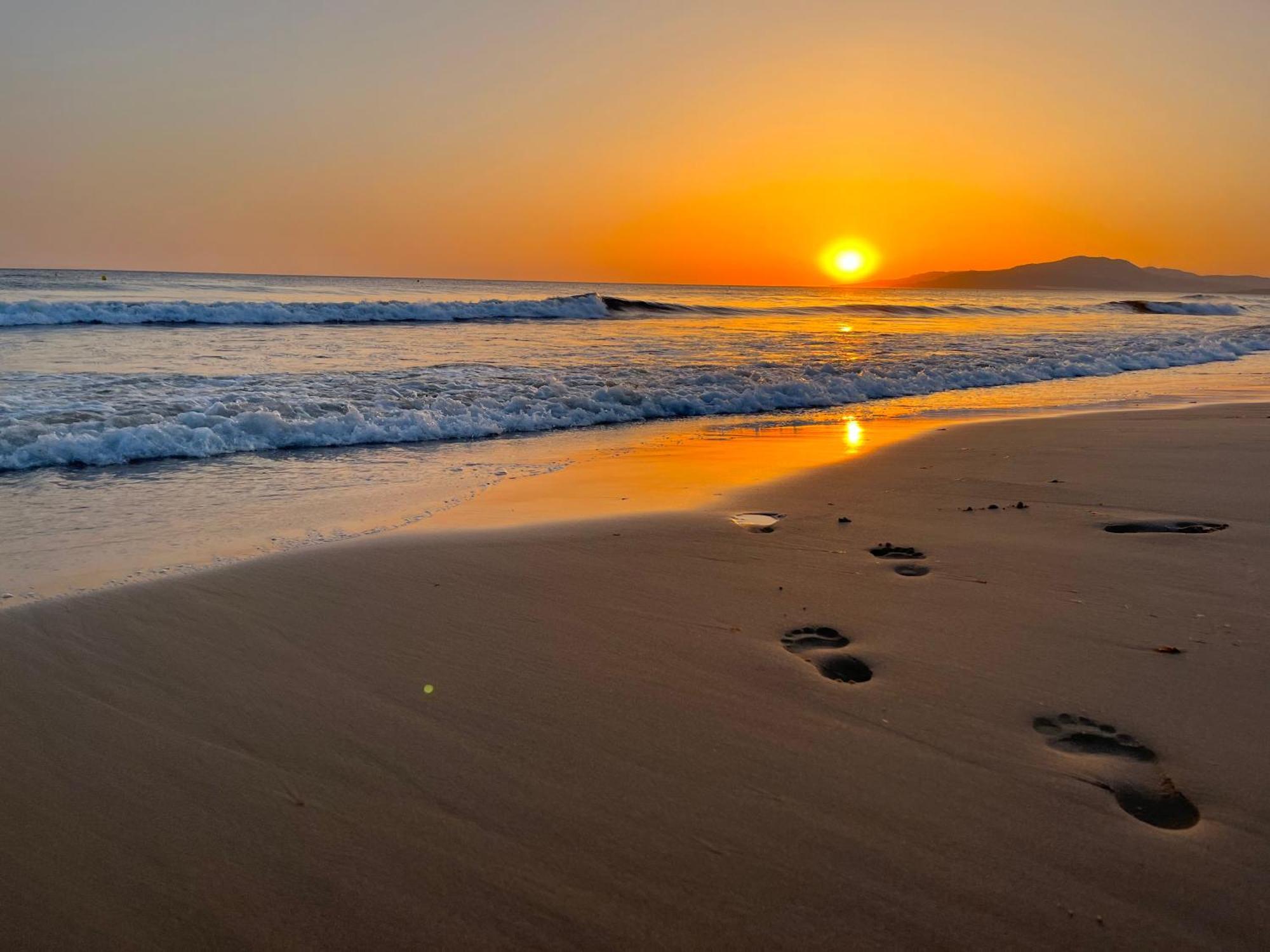 Casadeleon - Costadelsol Vacations & Remote Work Sitio de Calahonda Buitenkant foto